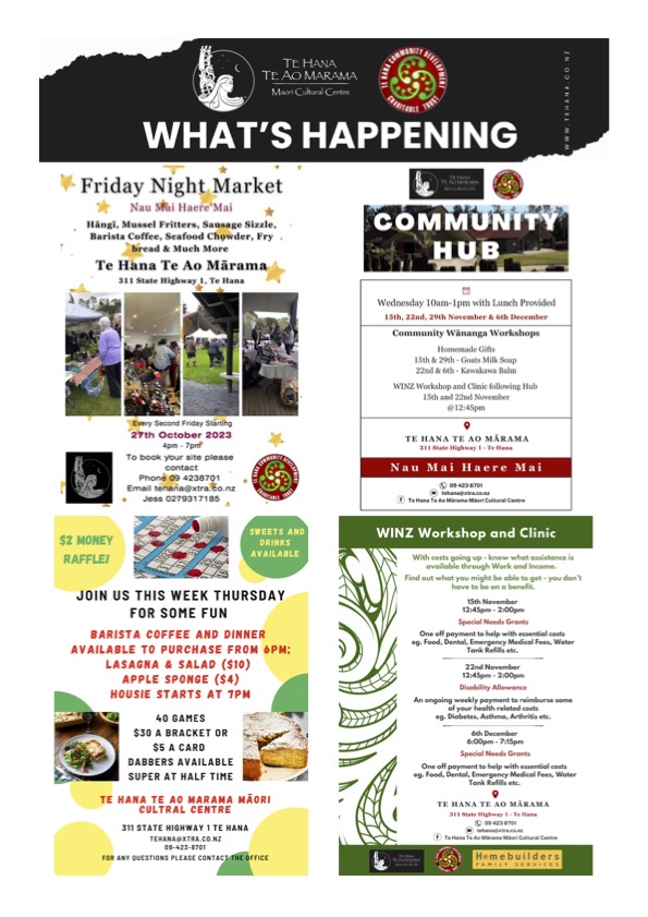 Mail Drop Flyer 